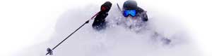 Skier in Powder Snow