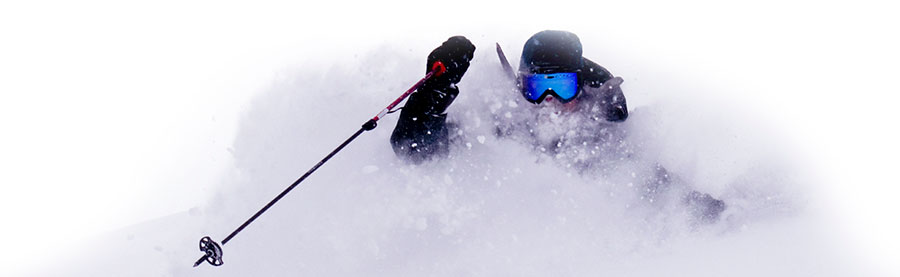 Skier in Powder Snow