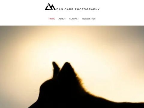 Professional ski photographer Dan Carr