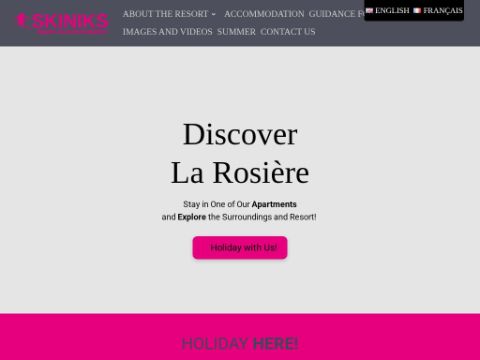 skiniks.com