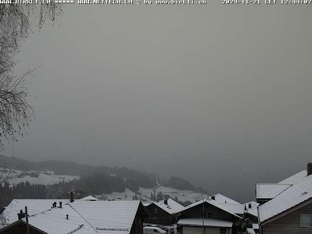 WebCam showing current Snow conditions in Beatenberg