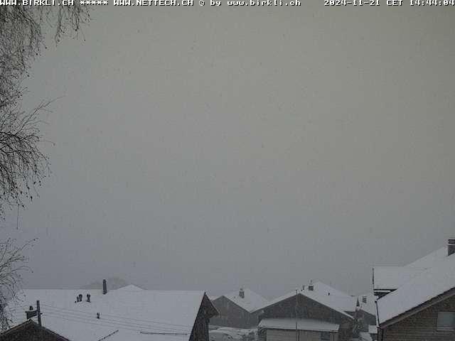 WebCam showing current Snow conditions in Beatenberg