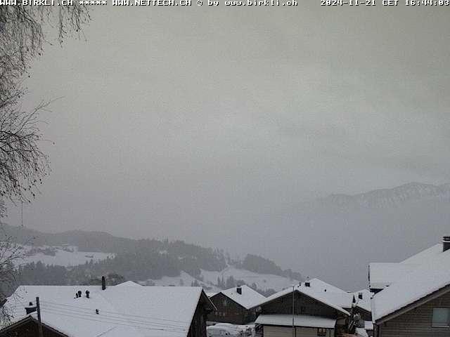 WebCam showing current Snow conditions in Beatenberg