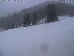 WebCam showing current Snow conditions in Moléson, ©Moléson Tourist Office