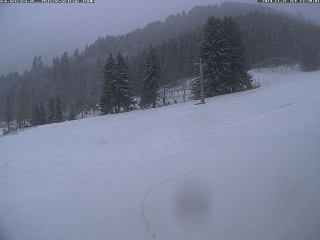 WebCam showing current Snow conditions in Moléson