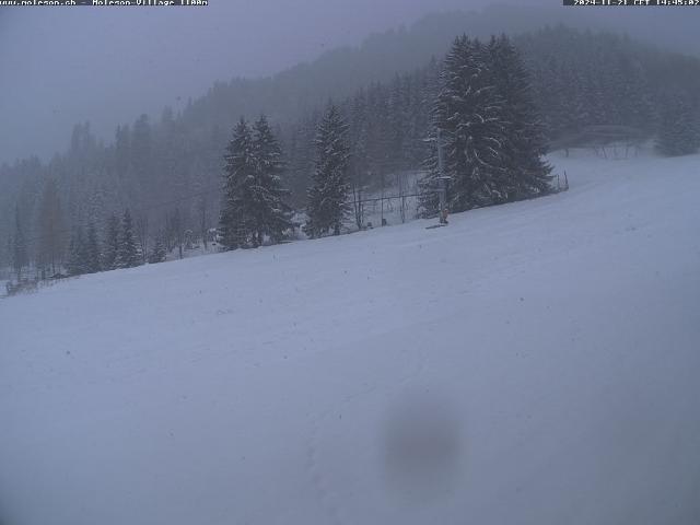 WebCam showing current Snow conditions in Moléson