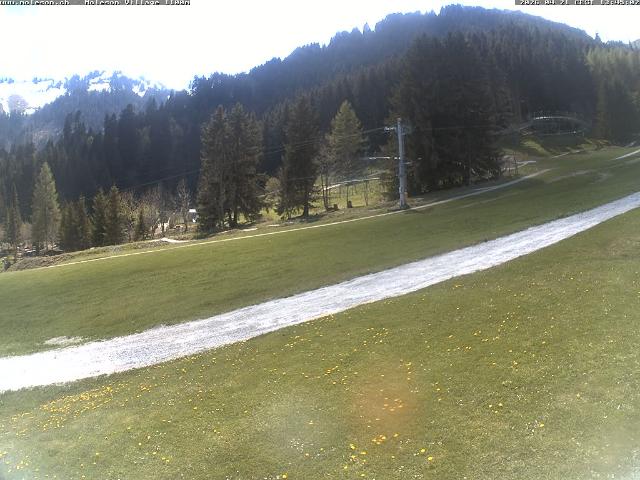 WebCam showing current Snow conditions in Moléson