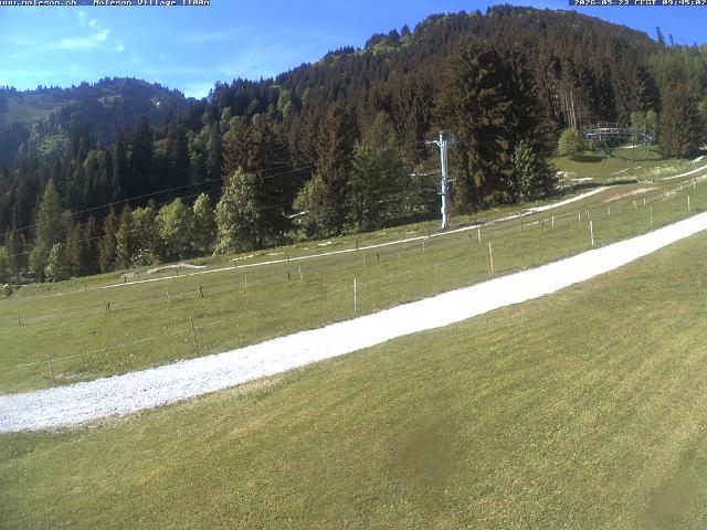 WebCam showing current Snow conditions in Moléson