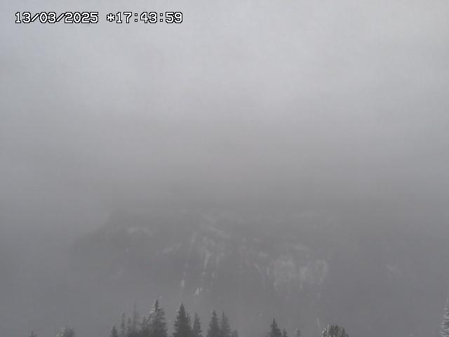 WebCam showing current Snow conditions in Mürren