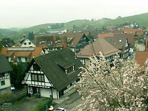 WebCam showing current Snow conditions in Sasbachwalden, &copy;www.blumen-weindorf-wetter.de