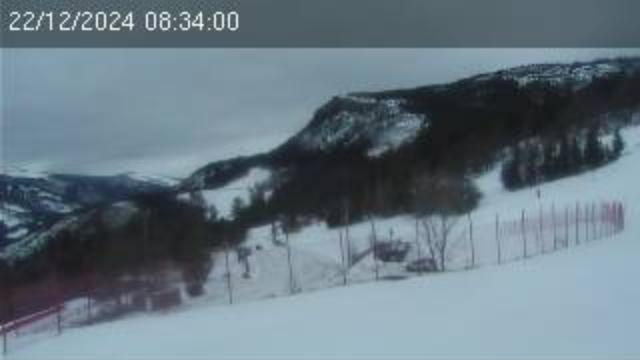 WebCam showing current Snow conditions in Lans en Vercors