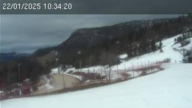 WebCam showing current Snow conditions in Lans en Vercors