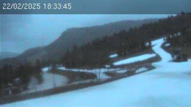 WebCam showing current Snow conditions in Lans en Vercors