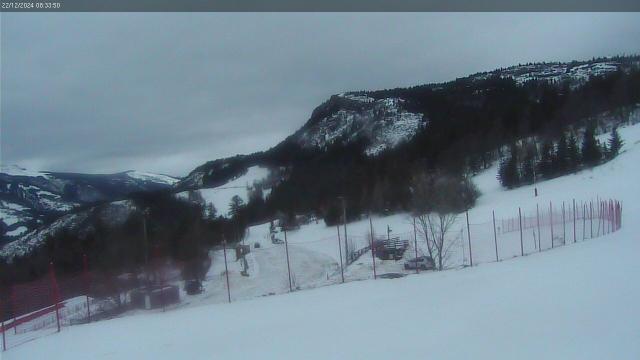 WebCam showing current Snow conditions in Lans en Vercors