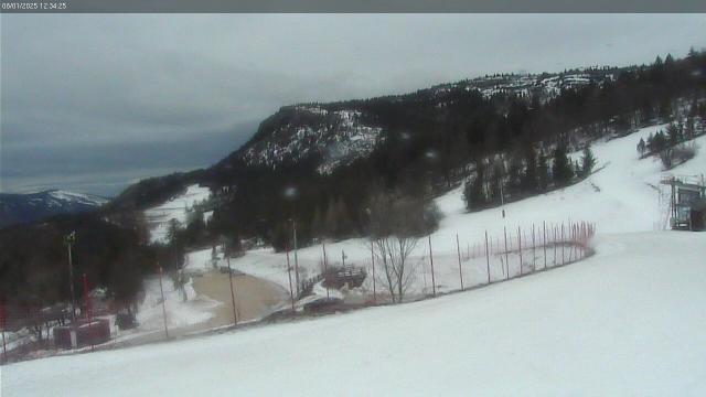 WebCam showing current Snow conditions in Lans en Vercors