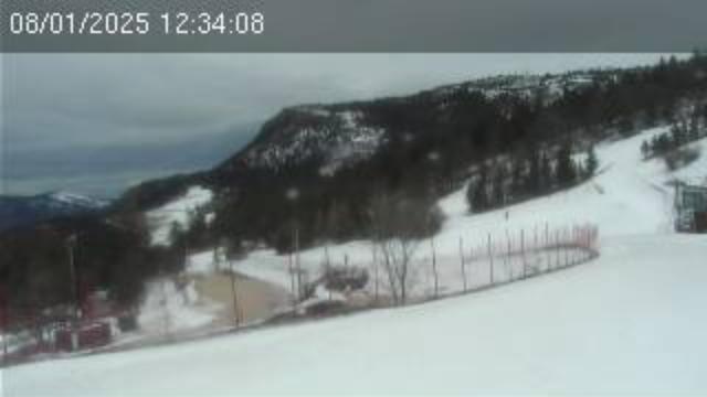 WebCam showing current Snow conditions in Lans en Vercors