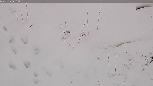 WebCam showing current Snow conditions in Méribel