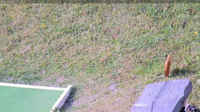 WebCam showing current Snow conditions in Méribel