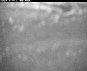 WebCam showing current Snow conditions in Morbier, ©www.trinum.com