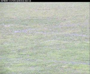 WebCam showing current Snow conditions in Morbier, &copy;www.trinum.com