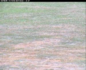 WebCam showing current Snow conditions in Morbier, &copy;www.trinum.com