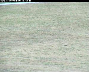 WebCam showing current Snow conditions in Morbier, &copy;www.trinum.com