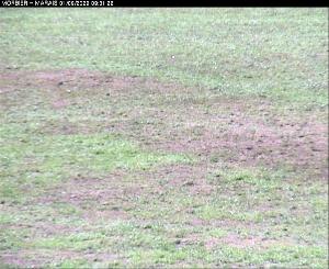 WebCam showing current Snow conditions in Morbier, &copy;www.trinum.com