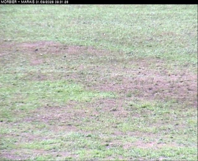 WebCam showing current Snow conditions in Morbier