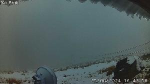 WebCam showing current Snow conditions in Fox Peak, ©www.foxpeak.co.nz
